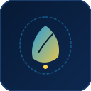 돼지
